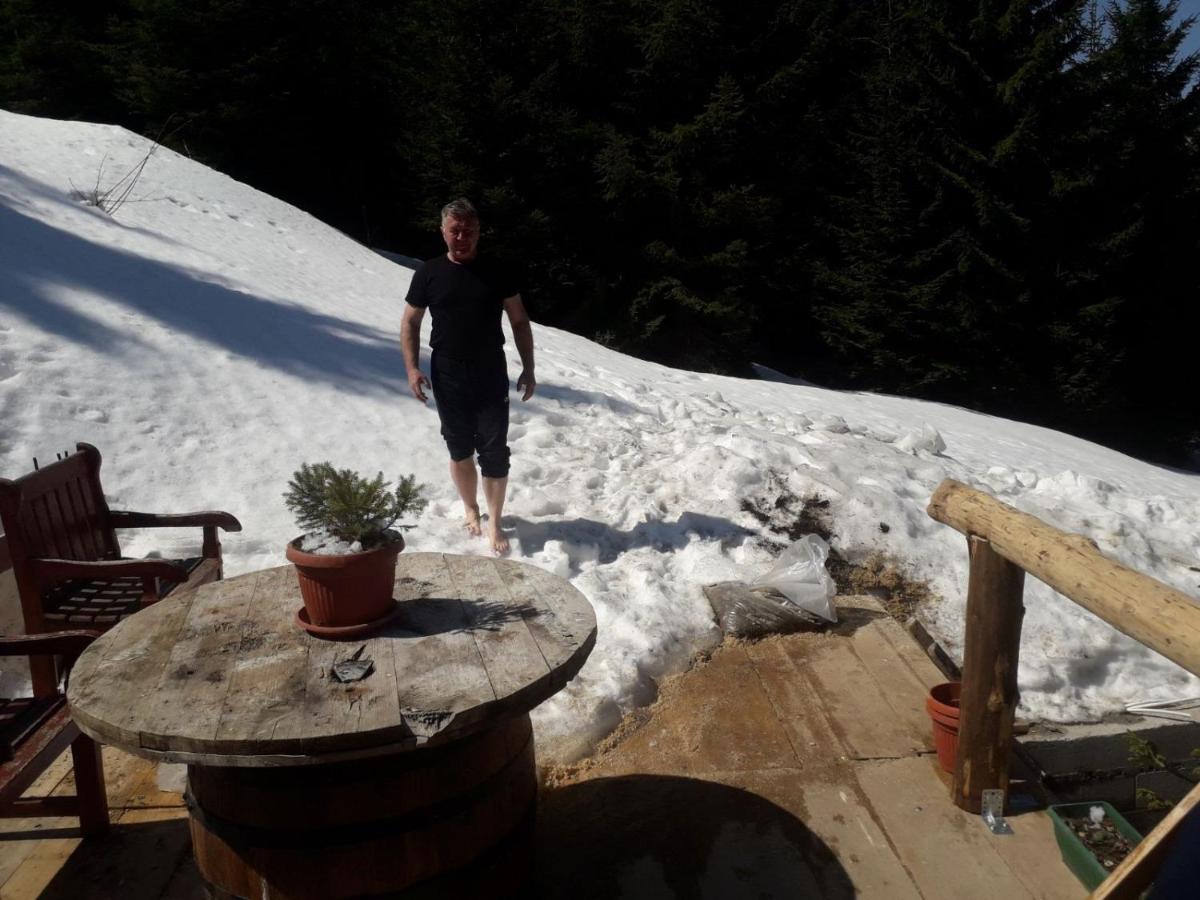 Kuca Za Odmor "Djurovic" Lejlighed Kopaonik Eksteriør billede