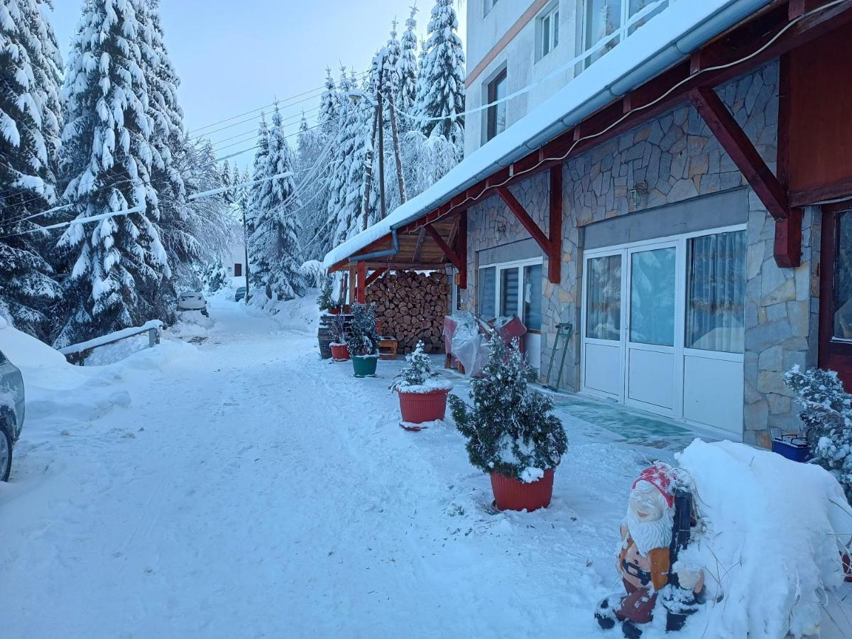 Kuca Za Odmor "Djurovic" Lejlighed Kopaonik Eksteriør billede