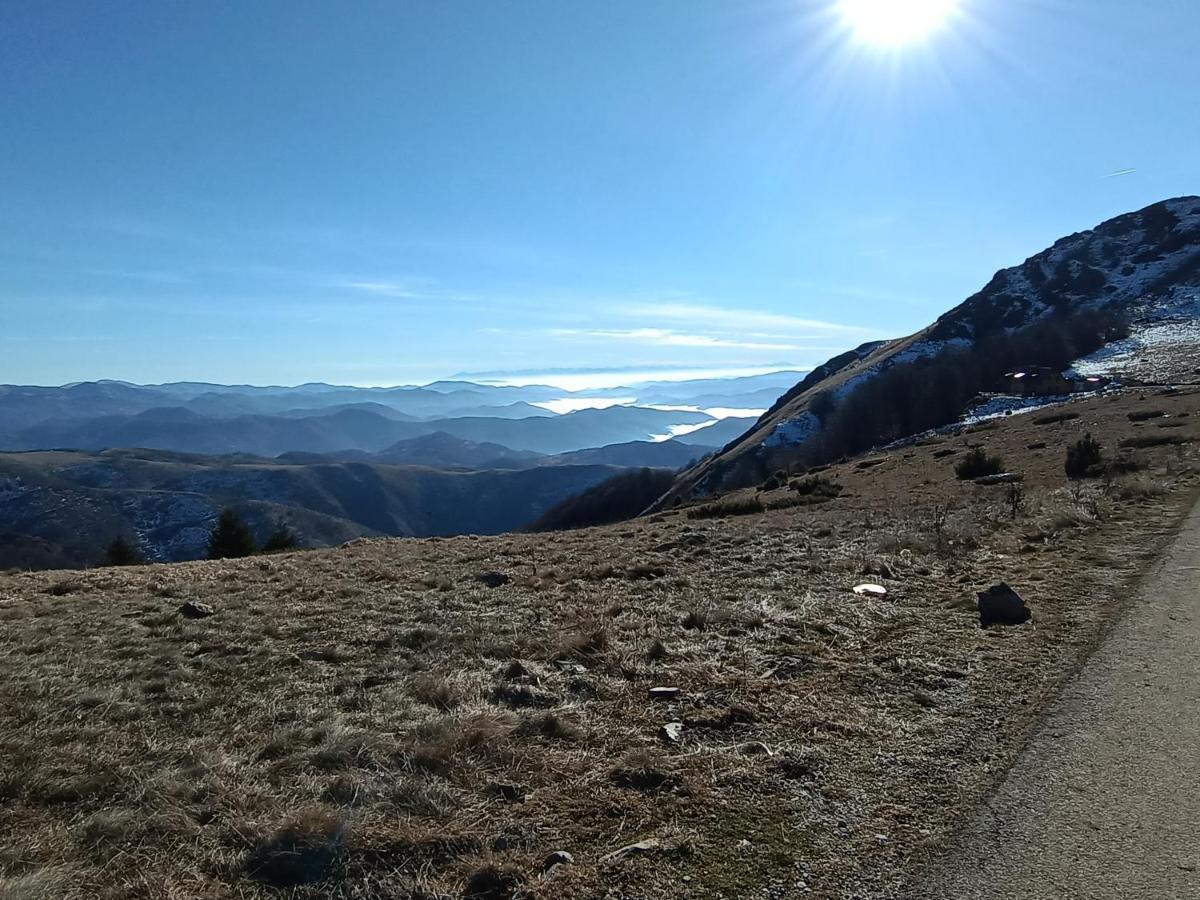 Kuca Za Odmor "Djurovic" Lejlighed Kopaonik Eksteriør billede