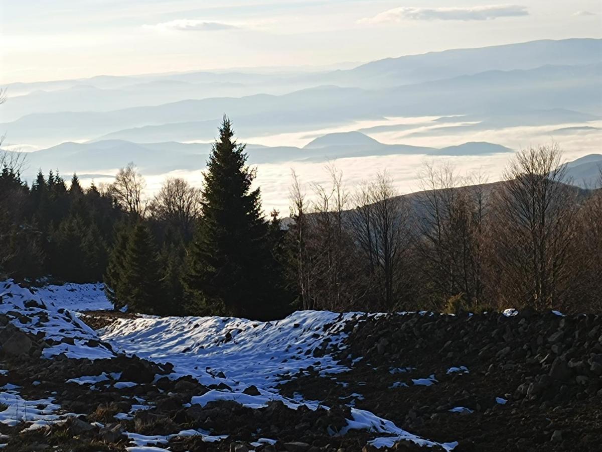 Kuca Za Odmor "Djurovic" Lejlighed Kopaonik Eksteriør billede