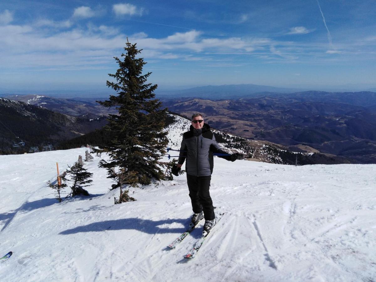 Kuca Za Odmor "Djurovic" Lejlighed Kopaonik Eksteriør billede